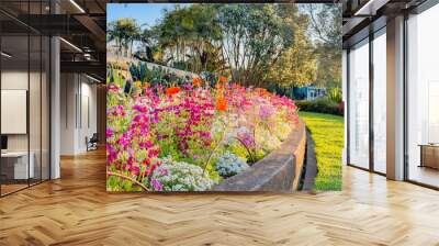 View of a botanic garden before sunset in Auckland, New Zealand. Wall mural