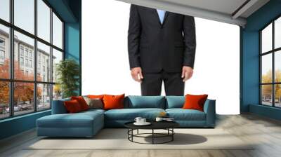 full-length portrait of businessman, isolated Wall mural