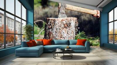 Close up of lumberjack dividing a log Wall mural