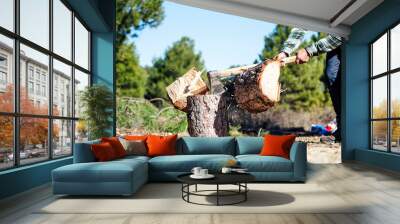 Close up of lumberjack dividing a log Wall mural