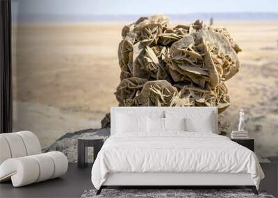 Desert rose Wall mural