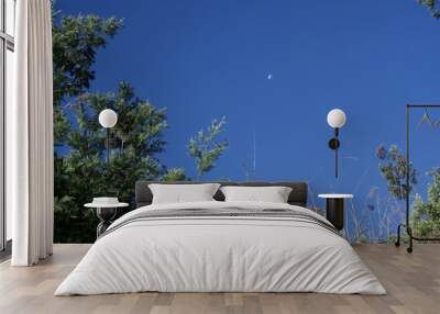 Moon in the blue sky Wall mural