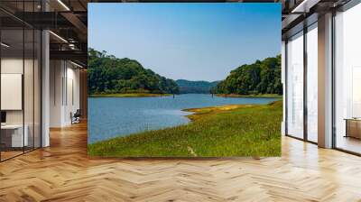 A landscape with a lake and forest background. Forest of Periyar tiger tiger reserve, Thekkady, Kerala, India Wall mural