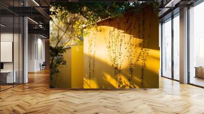 Background of yellow wall in sunlight Wall mural