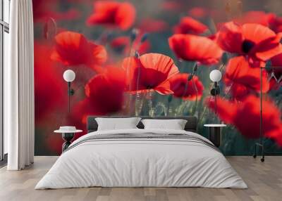 Blurred and defocused image of red beautiful poppies bloom, poppy red flowers meadow Wall mural