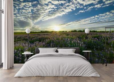 Texas sunsets with bluebonnets Wall mural