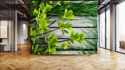 Green leaves on twigs, sward and wooden planks background Wall mural