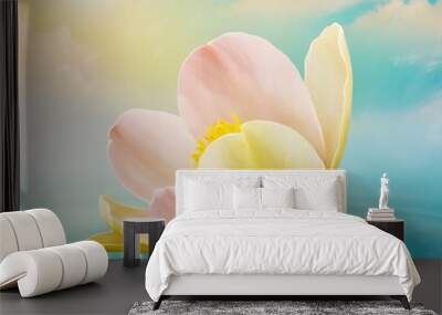 Spring background; fresh flower on blue background Wall mural