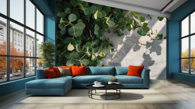 Top view of green eucalyptus leaves on concrete surface with copy space Wall mural