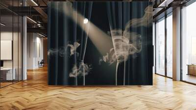 Vintage theatre spot light on black curtain with smoke Wall mural