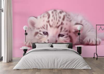 Adorable newborn white tiger sleep shot on front view, isolated over pink background. Wall mural