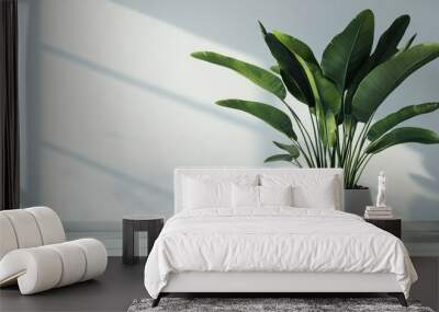 Green Plant in a White Pot Against a White Wall Wall mural