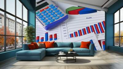 Financial Management Chart #5 Wall mural