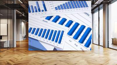 Financial Management Chart #6 Wall mural