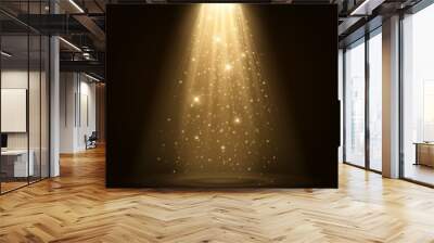 Spotlight isolated on transparent background. Vector illustration Wall mural