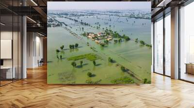 Floods Pakistan 2022 Wall mural