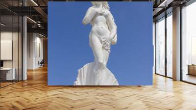 Statue of Aphrodite in a shell Wall mural