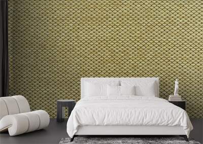 A solid background of  mesh nylon fabric. Wall mural