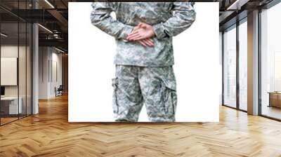 US Army soldier in Parade rest position. Wall mural