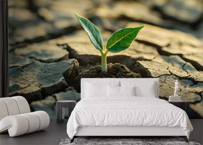 cracked, dry earth, with a small, struggling plant in the center, symbolizing the impact of climate change Wall mural