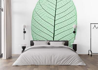 Skeleton Leaf Wall mural