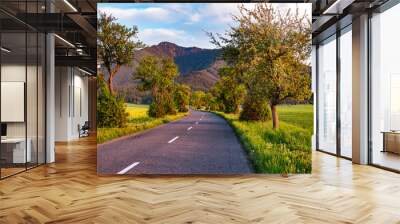 Road in the countryside of Slovakia Wall mural