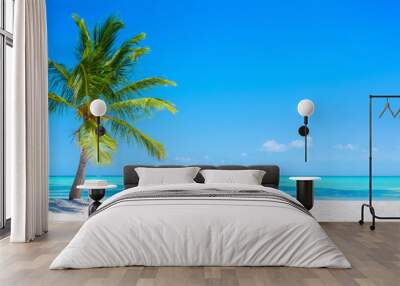 Banner of idyllic tropical beach with white sand, palm tree and turquoise blue ocean Wall mural