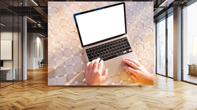 Person using laptop, blank white screen mockup Wall mural