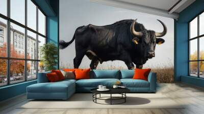 Black bull with large horns on a white background. Wall mural