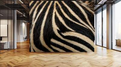 Close-up of zebra fur with striking black and white stripes. Wall mural