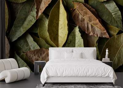 Dry bay leaves, detailed texture background. Wall mural