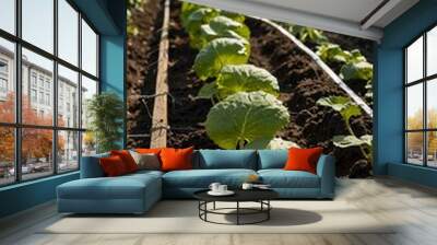 Organic greenhouse with cucumber plants. Wall mural