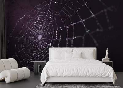 Purple spider web illustration Wall mural