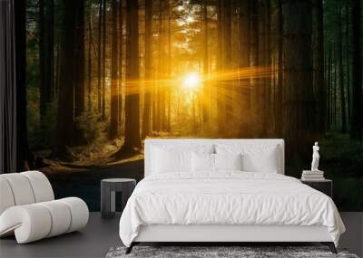 sun rays in the forest Wall mural