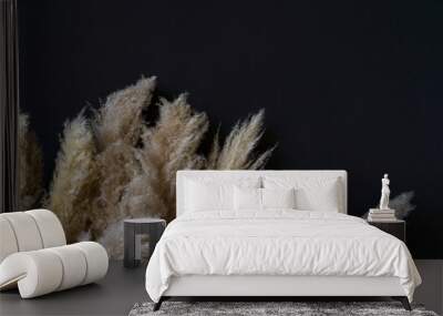 Dried natural pampa grass on a black background Wall mural