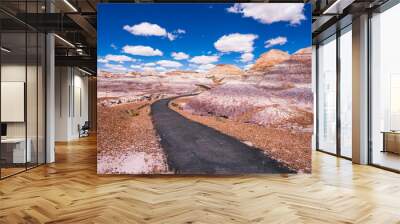 Painted desert, badlands in Arizona , petrified forest Wall mural