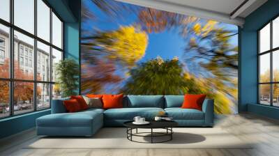 trees and sky Wall mural