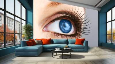 female blue eye with false lashes Wall mural