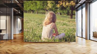 lonely girl in green spring meadow Wall mural