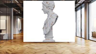 Marcus Aurelius  statue, 3d renders, isolated, perfect for your design Wall mural