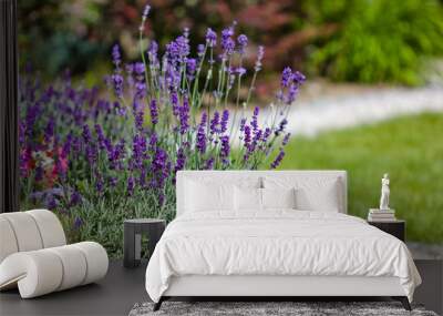 summer flowers in the garden  - lavender  Wall mural