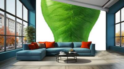 Green Energy Grass Leaves Light Bulb Isolated on Transparent Background Wall mural