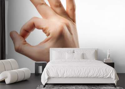 Ok hand gesture Isolated on Transparent Background. Wall mural