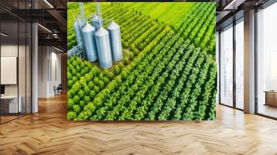 Sustainable Energy Solutions, Aerial View of a Biofuel Plant Surrounded by Lush Greenery Wall mural