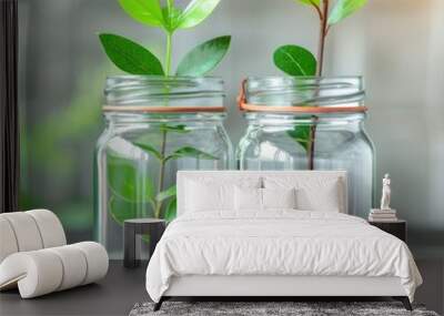 Two glass jars hold green sprigs with fresh leaves, set on a wooden table, evoking a sense of nature and growth. Wall mural