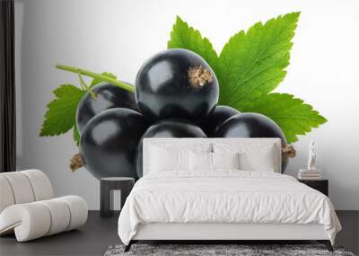 Black currant berries isolated Wall mural