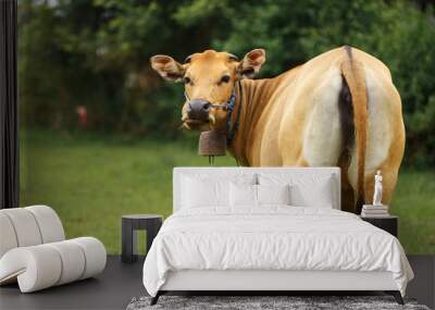 Brown cow grazing in a meadow Wall mural