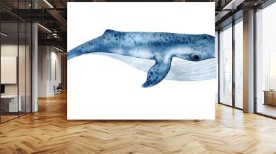 Watercolor blue whale illustration isolated on white background. Hand-painted realistic underwater animal art. Wall mural