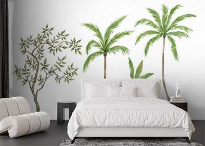 Watercolor palm tree in green color isolated on white background. Vintage coconut trees. Floral tropical jungle. Wall mural