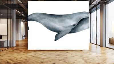 Watercolor Southern right whale illustration isolated on white background. Hand-painted realistic underwater animal art. Wall mural